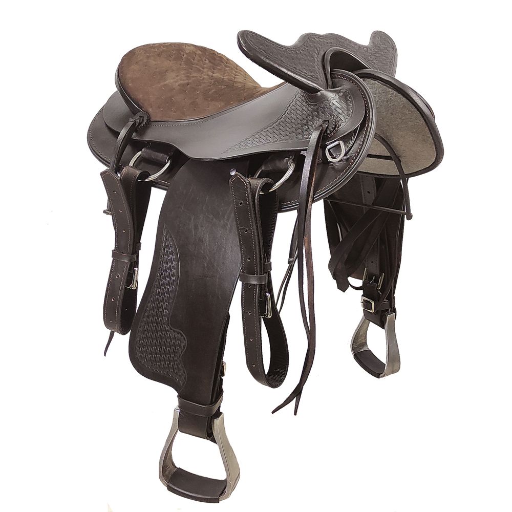 saddle and bridle bolsa